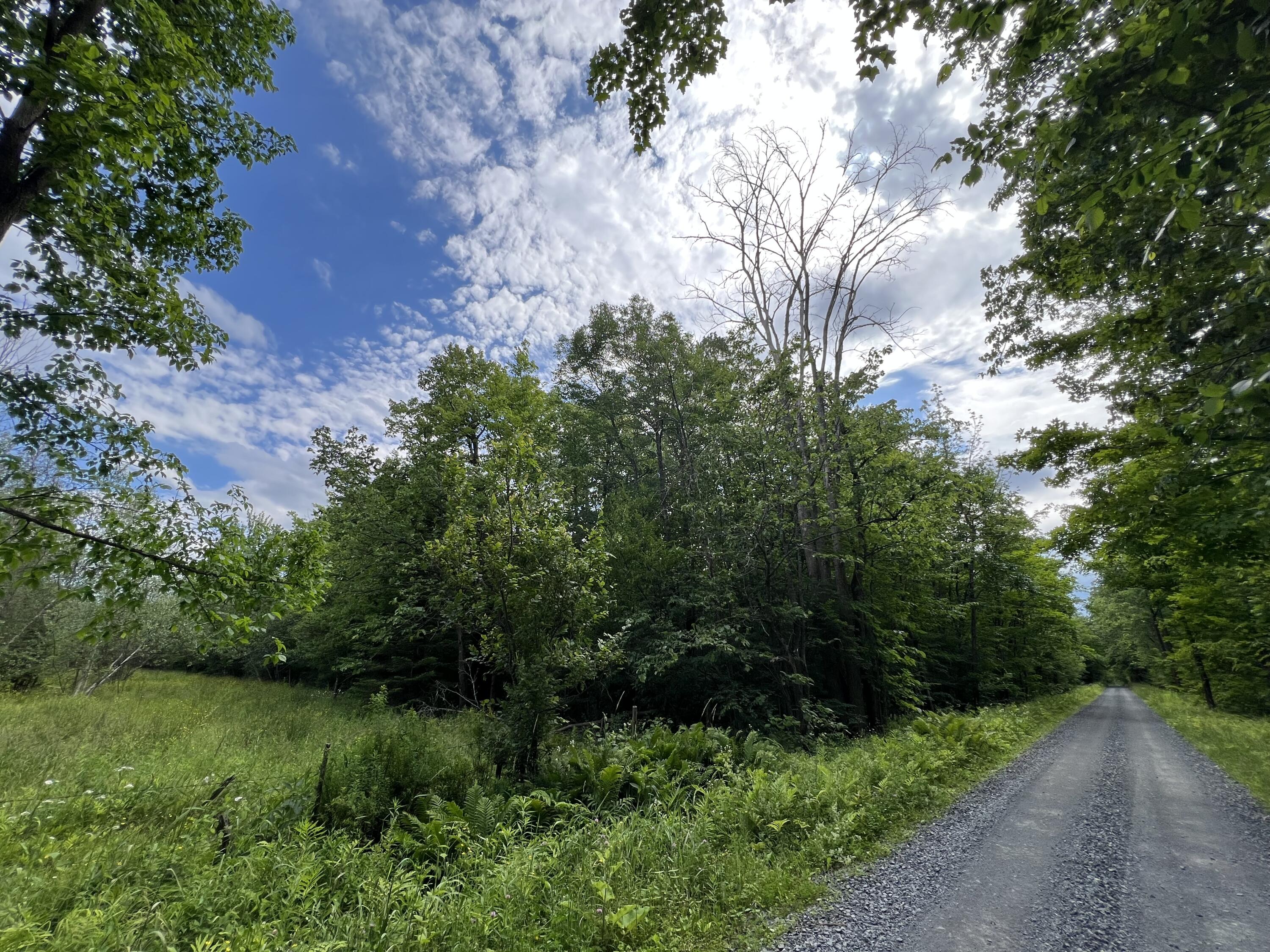 . Lost Nation Road Churubusco, NY 12923 - Photo 28 of 34 IMG_6914