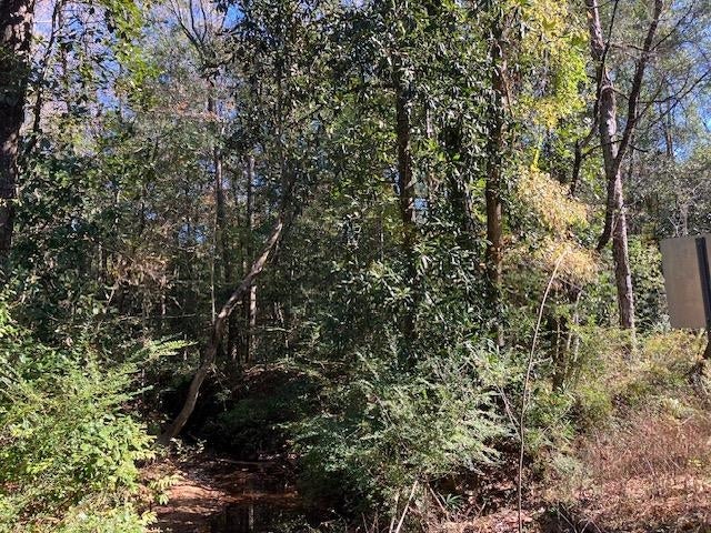 0 Green Road Andalusia, AL 36420 - Photo 5 of 8 Gallery Image 5