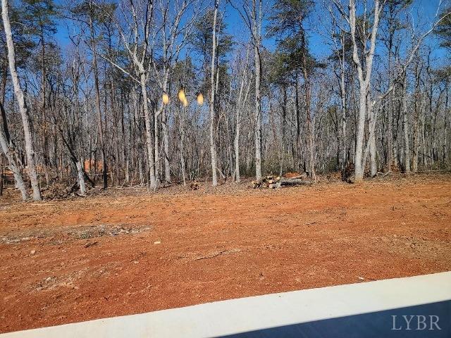 2329 Stonewall Road Concord, VA 24538 - Photo 15 of 15 a view of outdoor space with trees