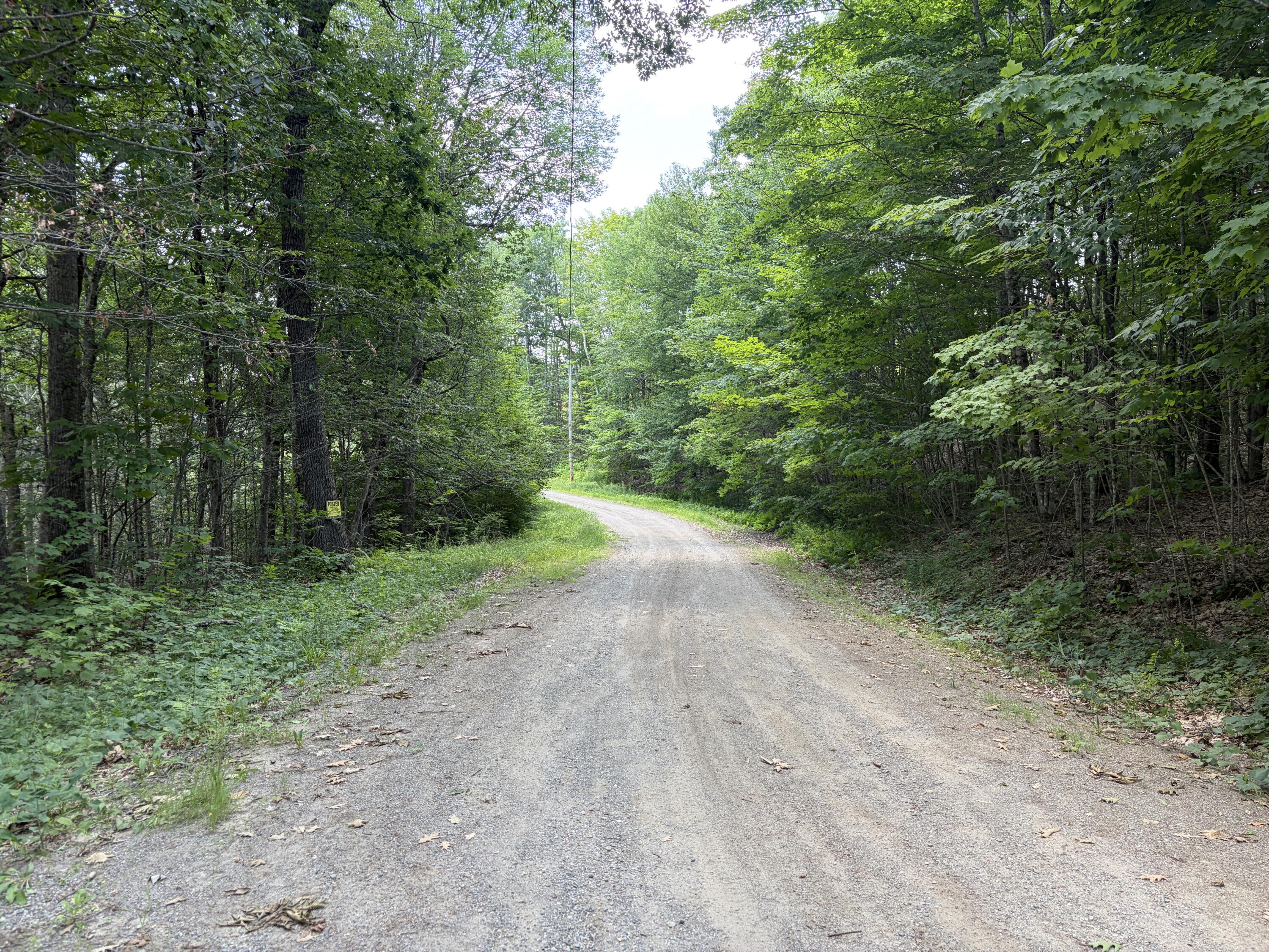 32-acres Belden Woods Road Palermo, ME 04354 - Photo 3 of 28 IMG_8282