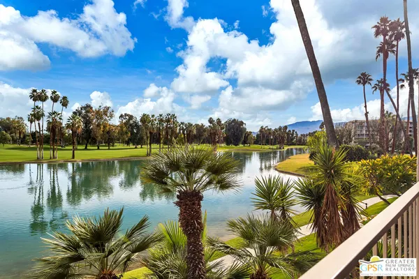 a view of a lake with a palm tree