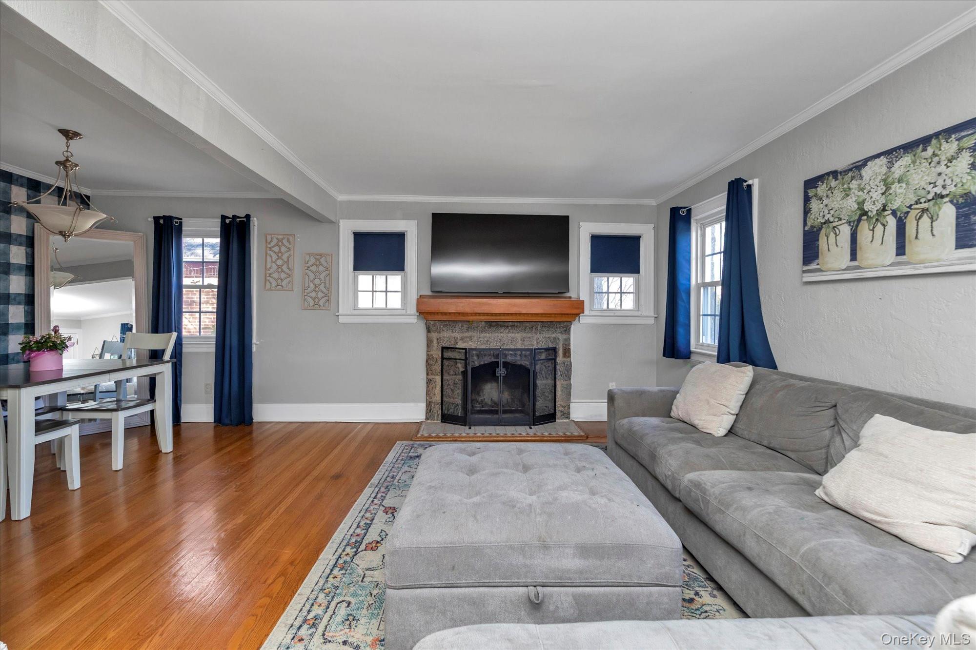 81 Stuart Street Lynbrook, NY 11563 - Photo 4 of 23 a living room with furniture a fireplace and a flat screen tv