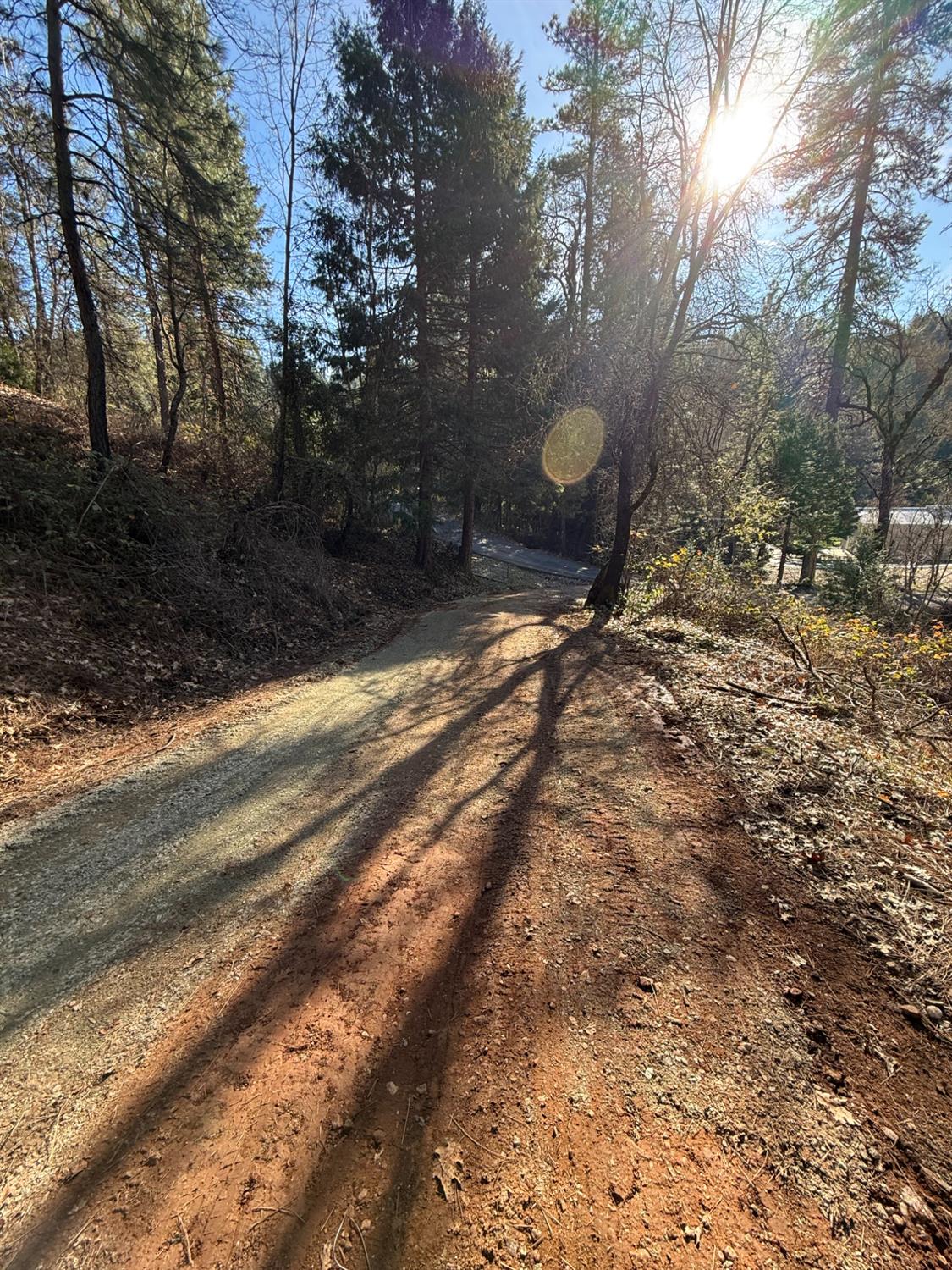 979 Dorothy Way West Point, CA 95255 - Photo 11 of 11