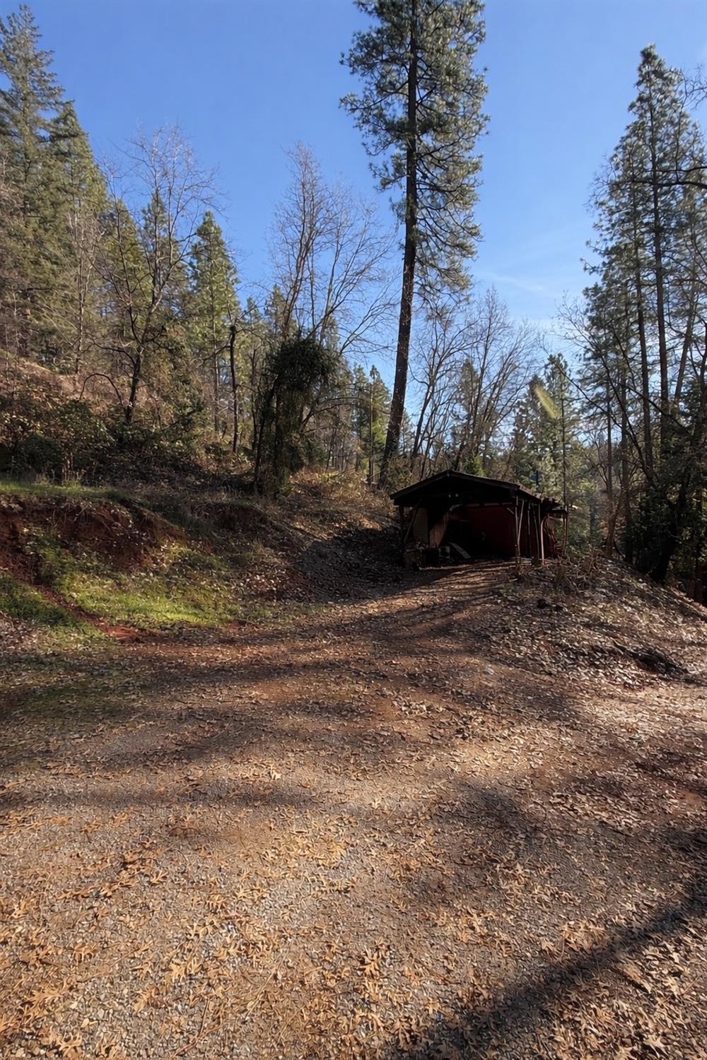 979 Dorothy Way West Point, CA 95255 - Photo 8 of 11