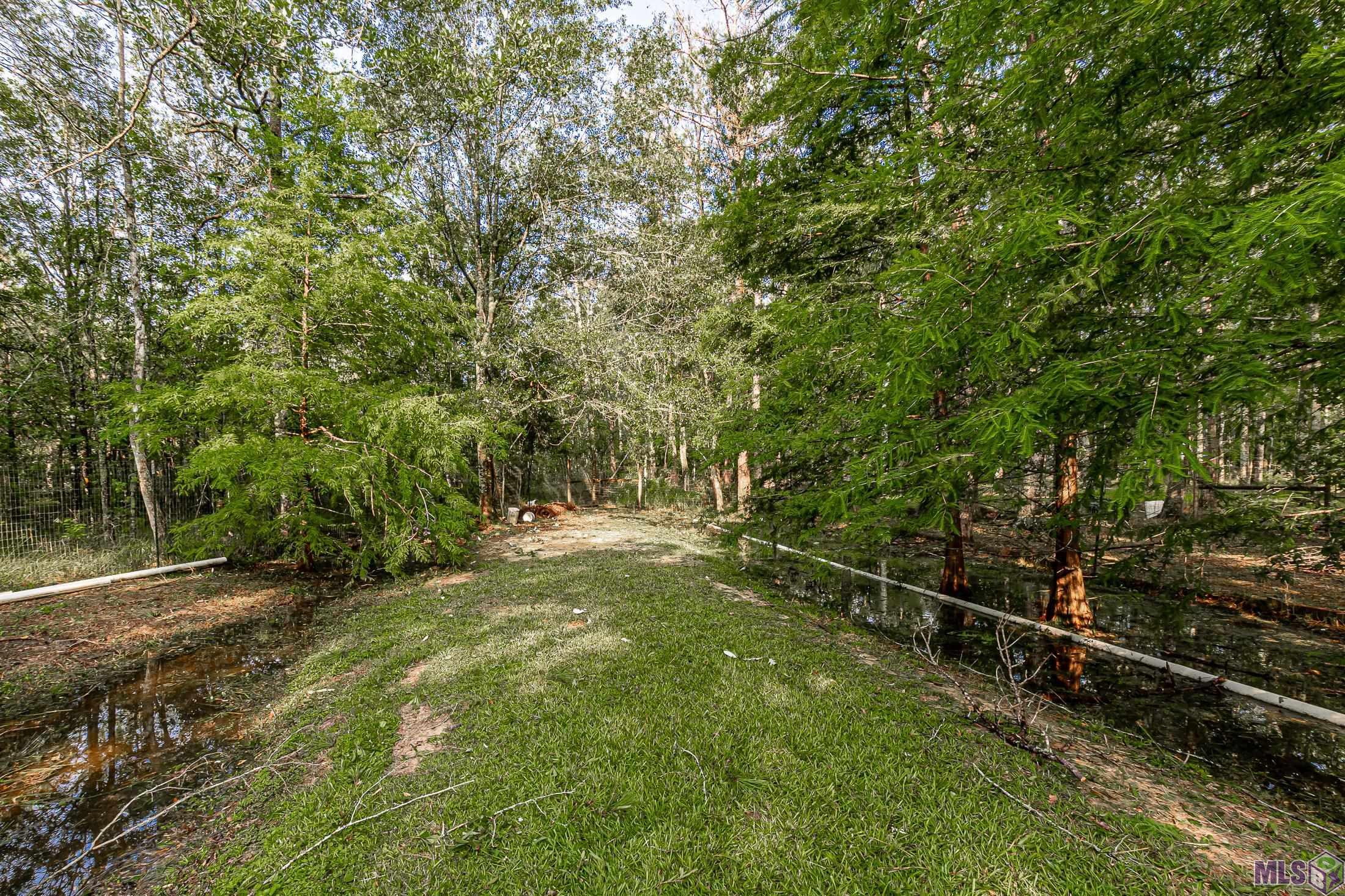 29753 Blount Road Holden, LA 70744 - Photo 21 of 32 Gallery Image 21