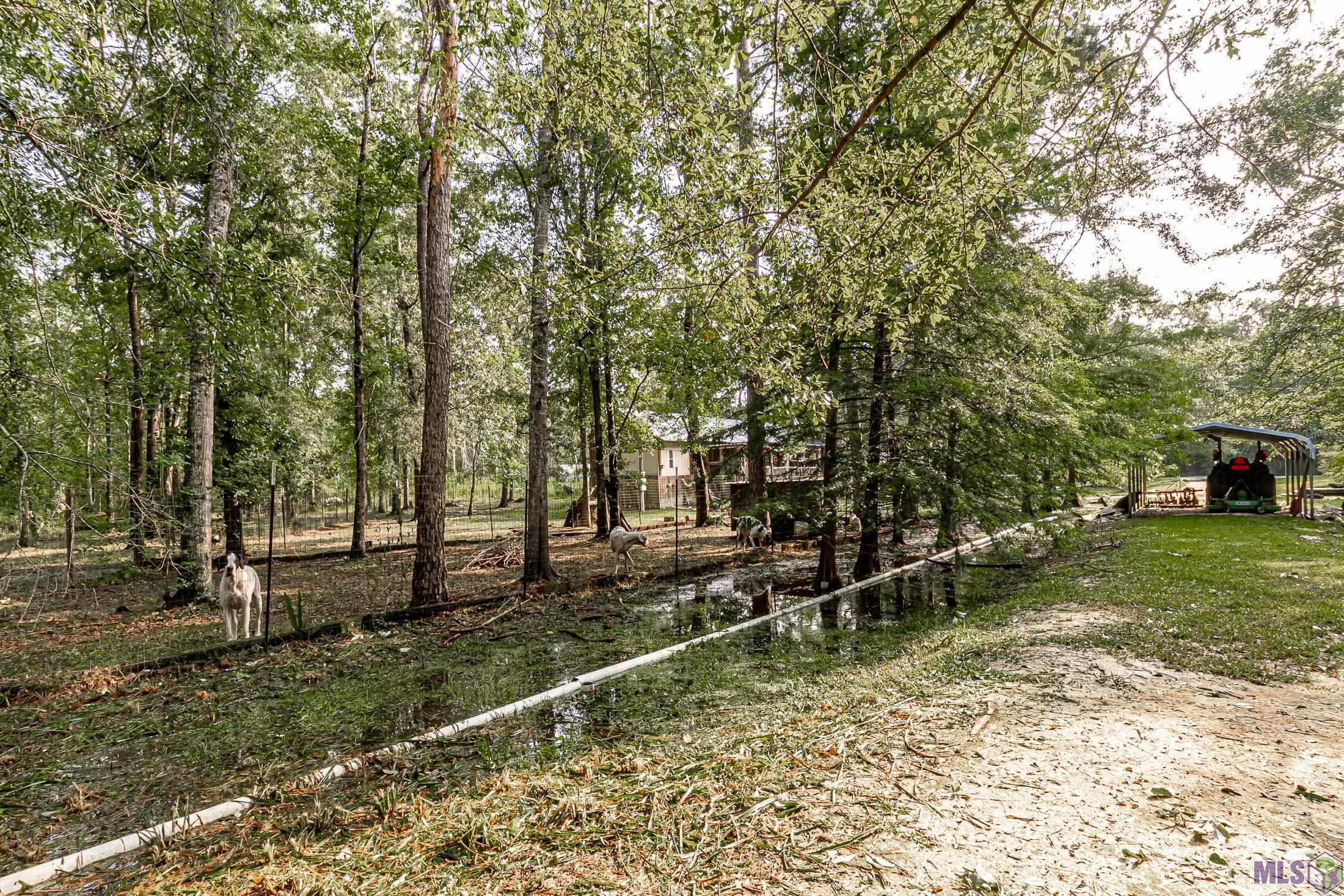 29753 Blount Road Holden, LA 70744 - Photo 23 of 32 Gallery Image 23