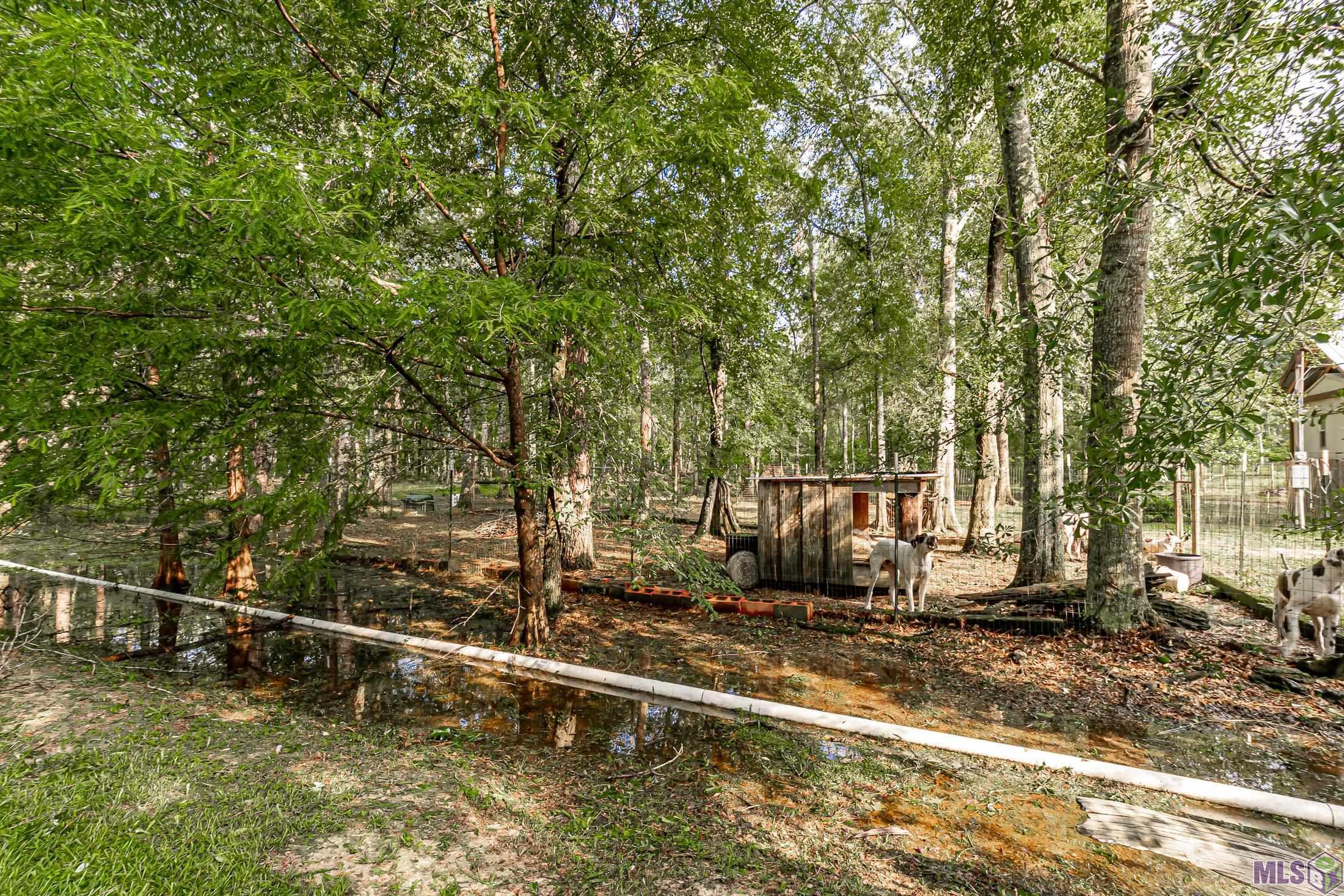 29753 Blount Road Holden, LA 70744 - Photo 25 of 32 Gallery Image 25