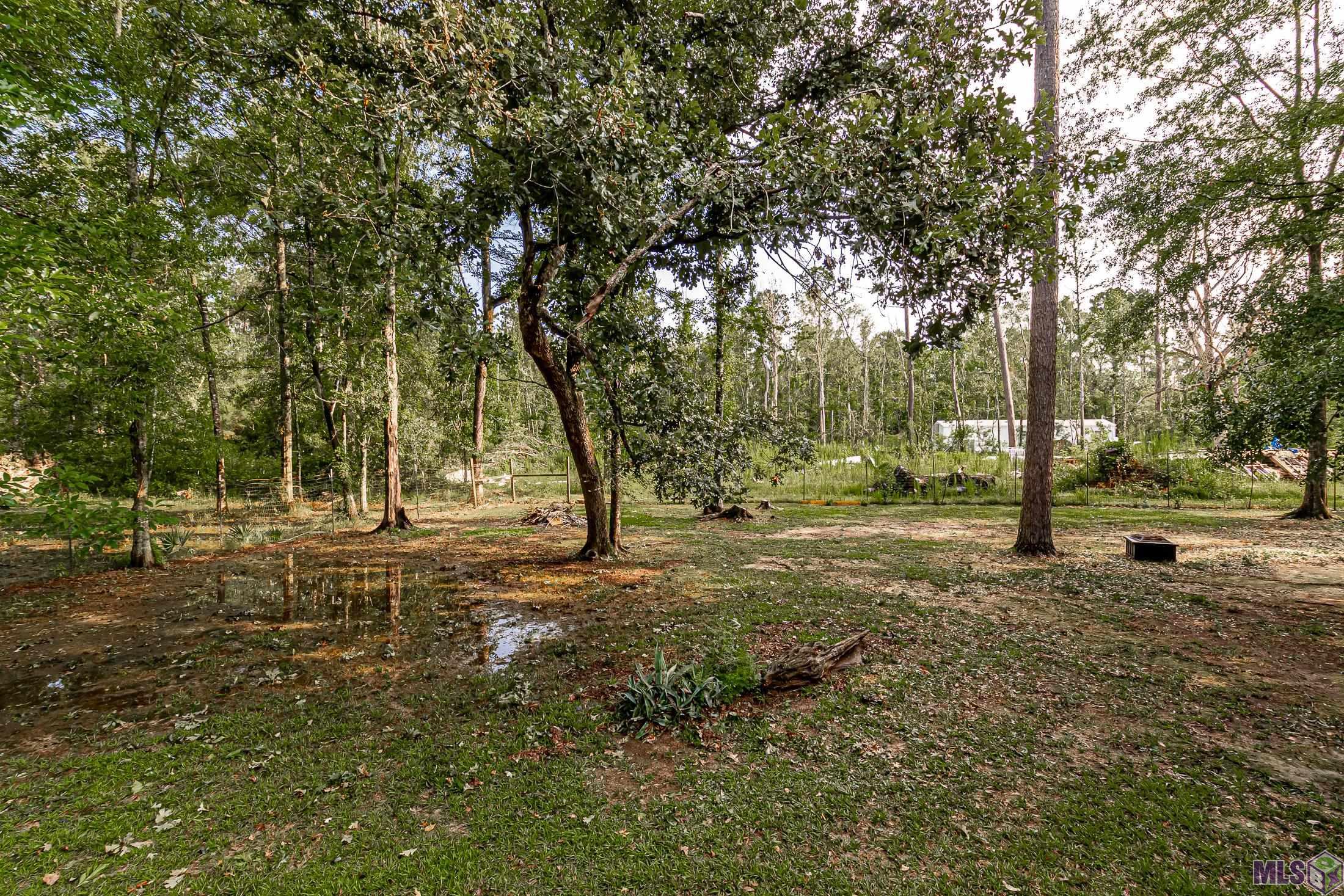 29753 Blount Road Holden, LA 70744 - Photo 28 of 32 Gallery Image 28