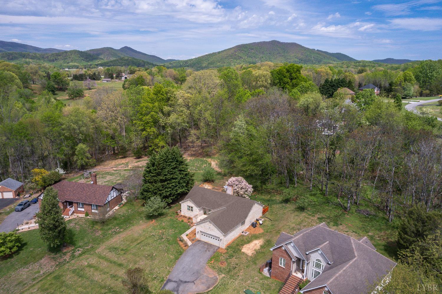 2009 Weatherhill Road Forest, VA 24551 - Photo 49 of 55