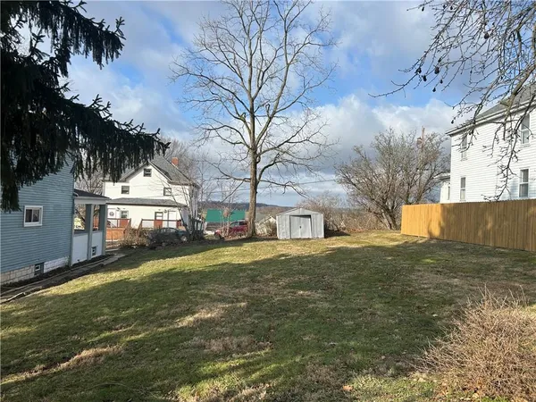 a view of a yard with a large tree