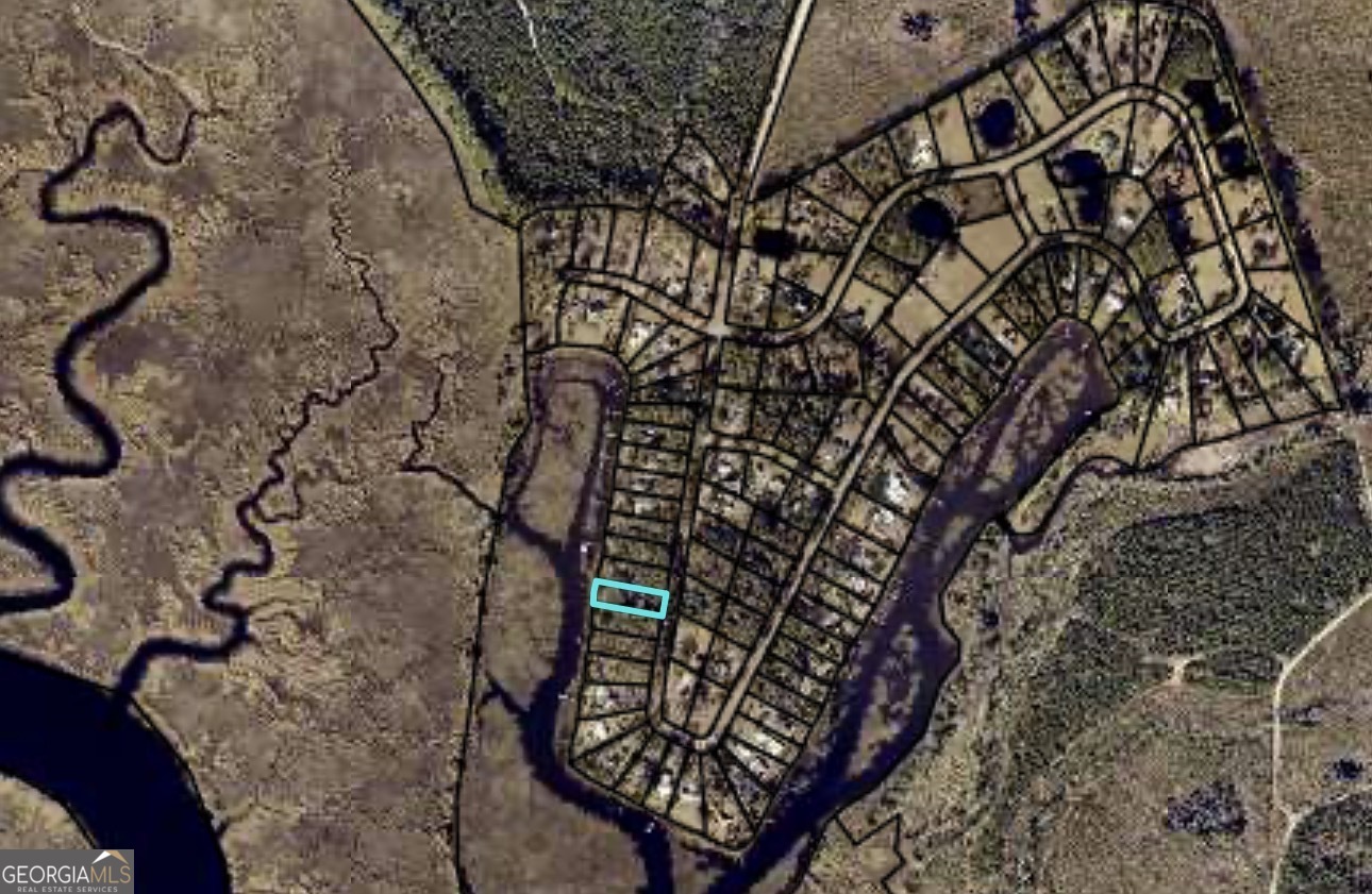 3327 Horseshoe Cove Road, Unit LOT 22 Waverly, GA 31565 - Photo 4 of 9