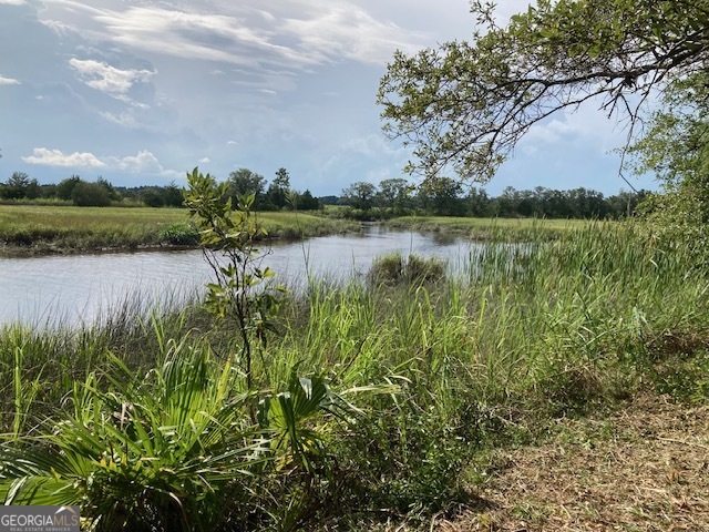 3327 Horseshoe Cove Road, Unit LOT 22 Waverly, GA 31565 - Photo 5 of 9