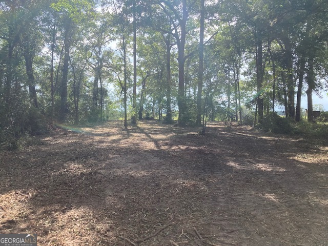 3327 Horseshoe Cove Road, Unit LOT 22 Waverly, GA 31565 - Photo 6 of 9