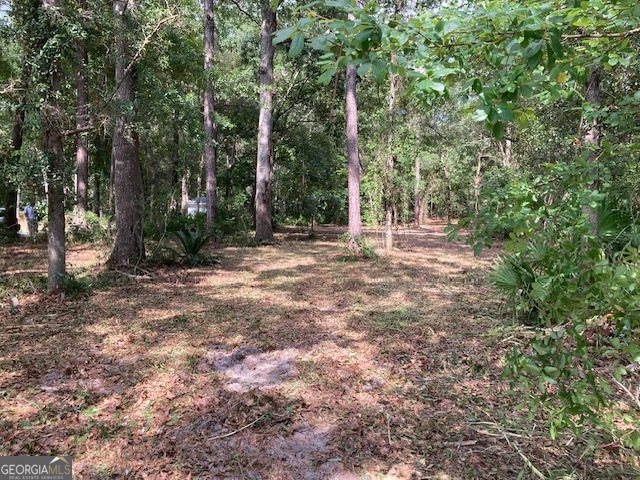 3327 Horseshoe Cove Road, Unit LOT 22 Waverly, GA 31565 - Photo 7 of 9