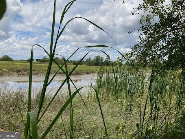 3327 Horseshoe Cove Road, Unit LOT 22 Waverly, GA 31565 - Photo 8 of 9