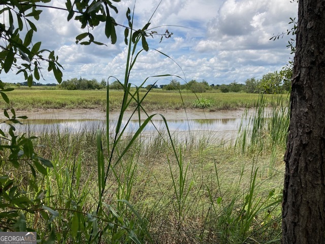3327 Horseshoe Cove Road, Unit LOT 22 Waverly, GA 31565 - Photo 9 of 9