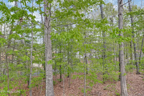 $260,000 | 378 Lake Catherine Court, Crossville, TN 38558