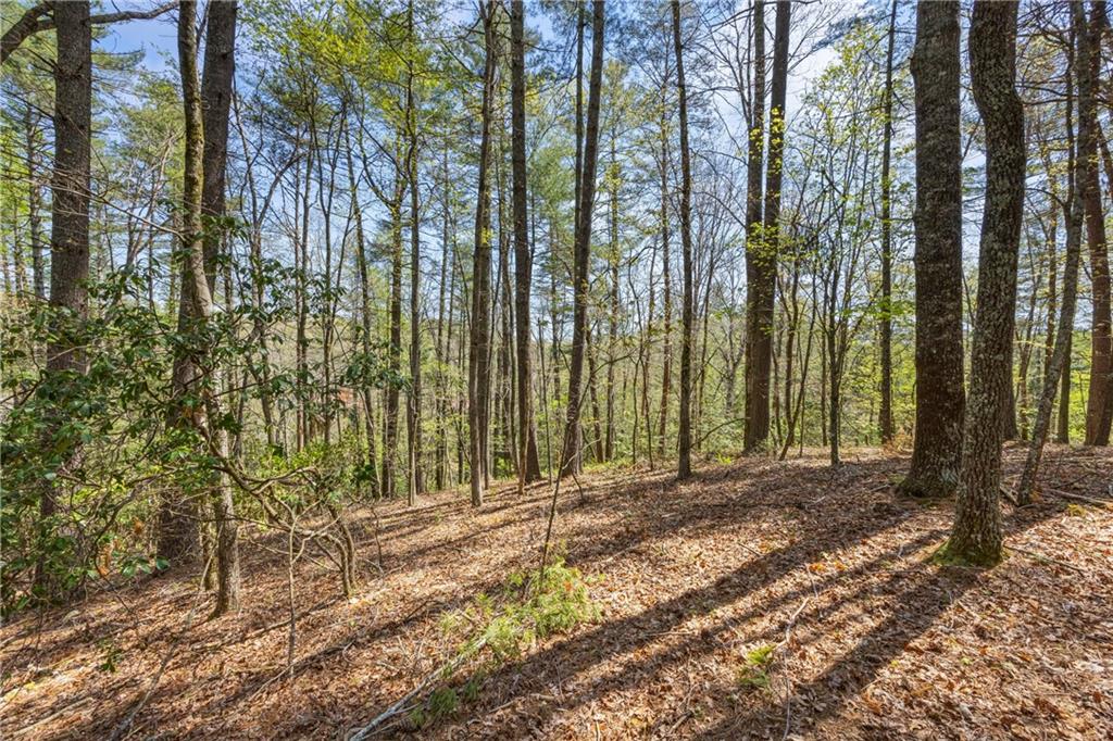 1243 Hooper Road Cleveland, GA 30528 - Photo 29 of 32