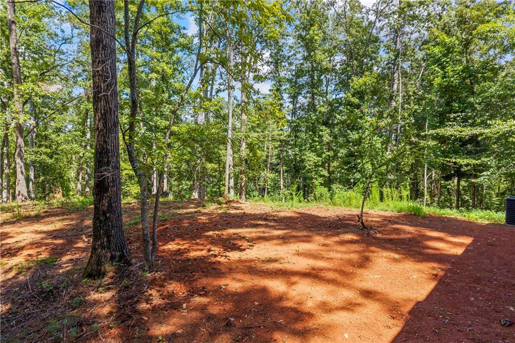 1243 Hooper Road Cleveland, GA 30528 - Photo 30 of 32