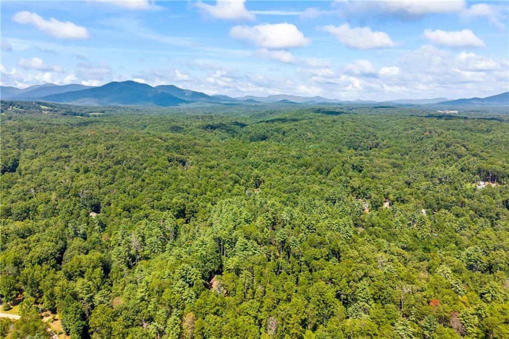 1243 Hooper Road Cleveland, GA 30528 - Photo 32 of 32