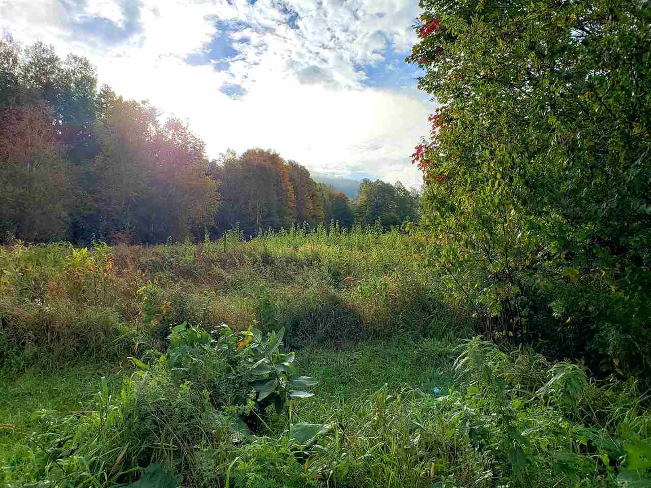 952 North Kirby Road Kirby, VT 05851 - Photo 2 of 18 Gallery Image 2