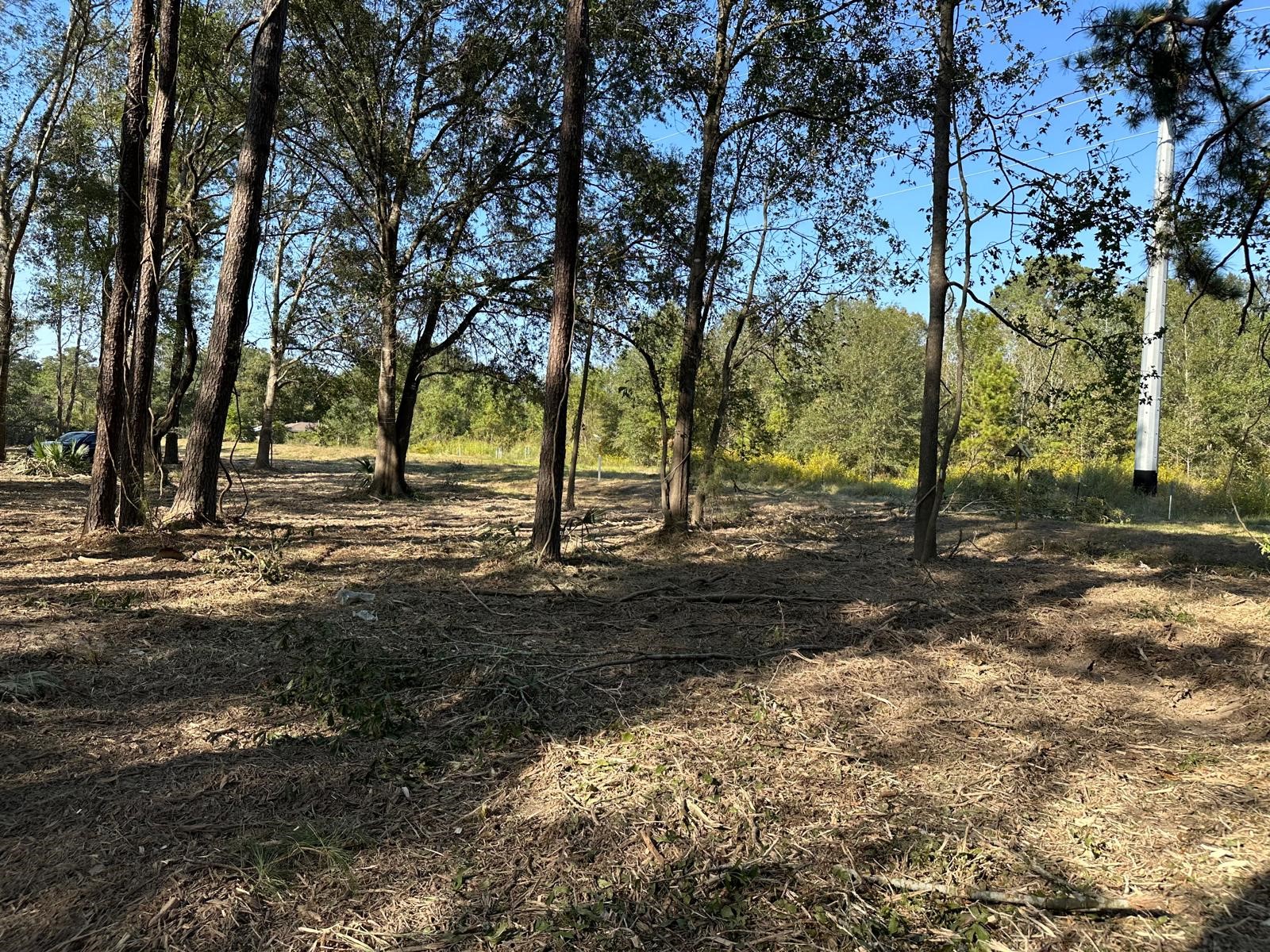10412 Ehlers Road Conroe, TX 77302 - Photo 5 of 18 a view of road with trees