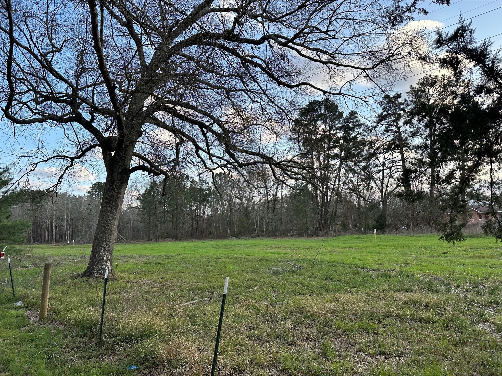 10412 Ehlers Road Conroe, TX 77302 - Photo 10 of 18 a view of a field with a tree