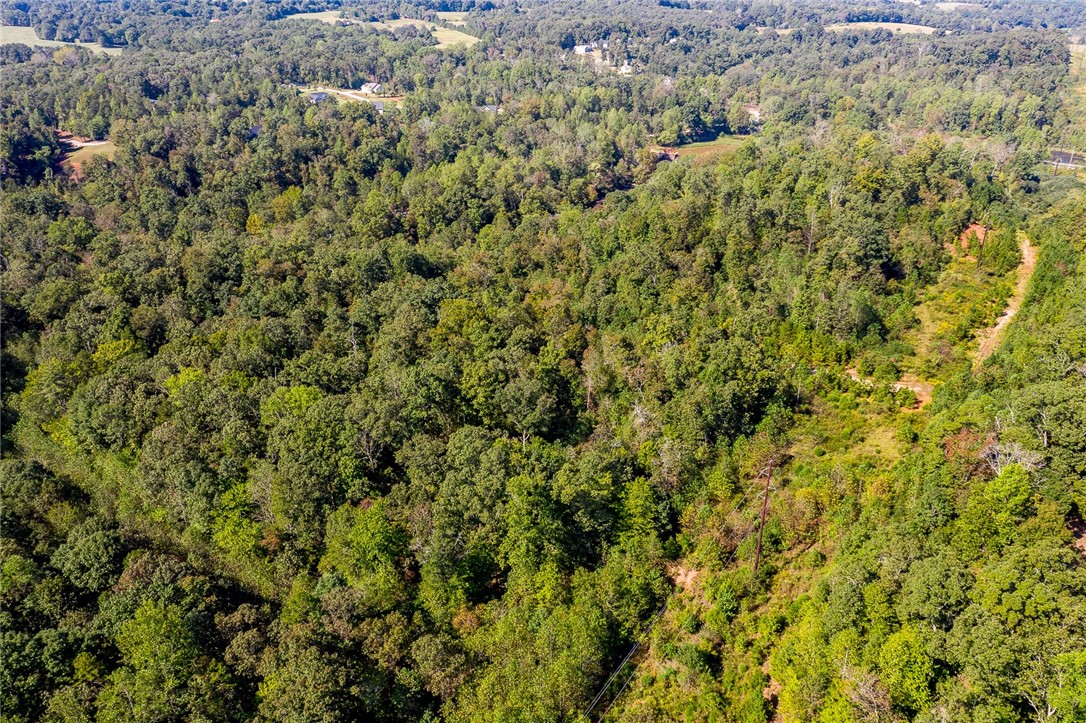 0 Strawberry Farm Road Seneca, SC 29678 - Photo 10 of 26 Gallery Image 10