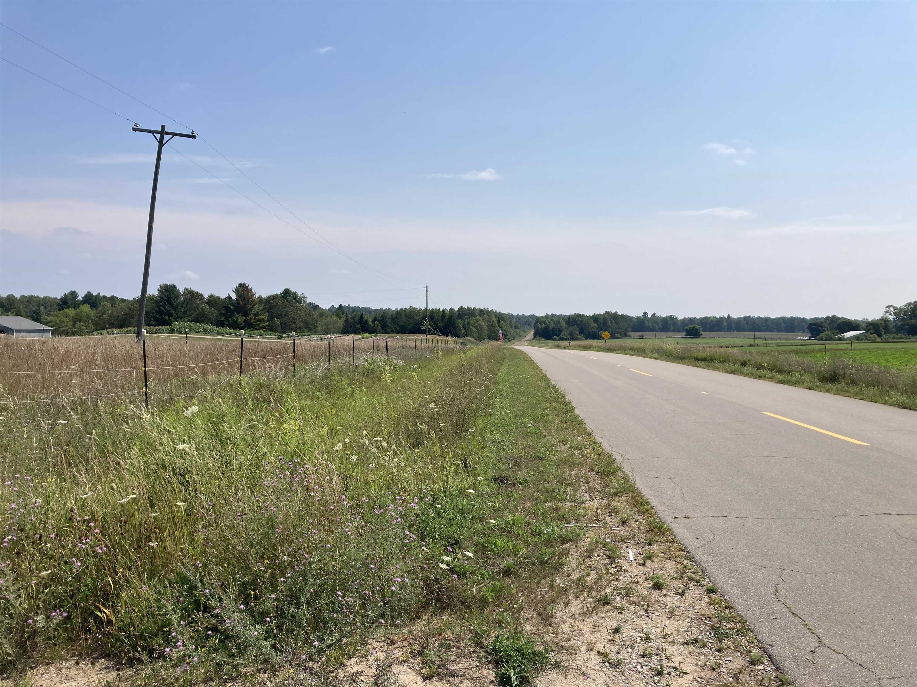 0 East Scribner Road Rose City, MI 48654 - Photo 14 of 19