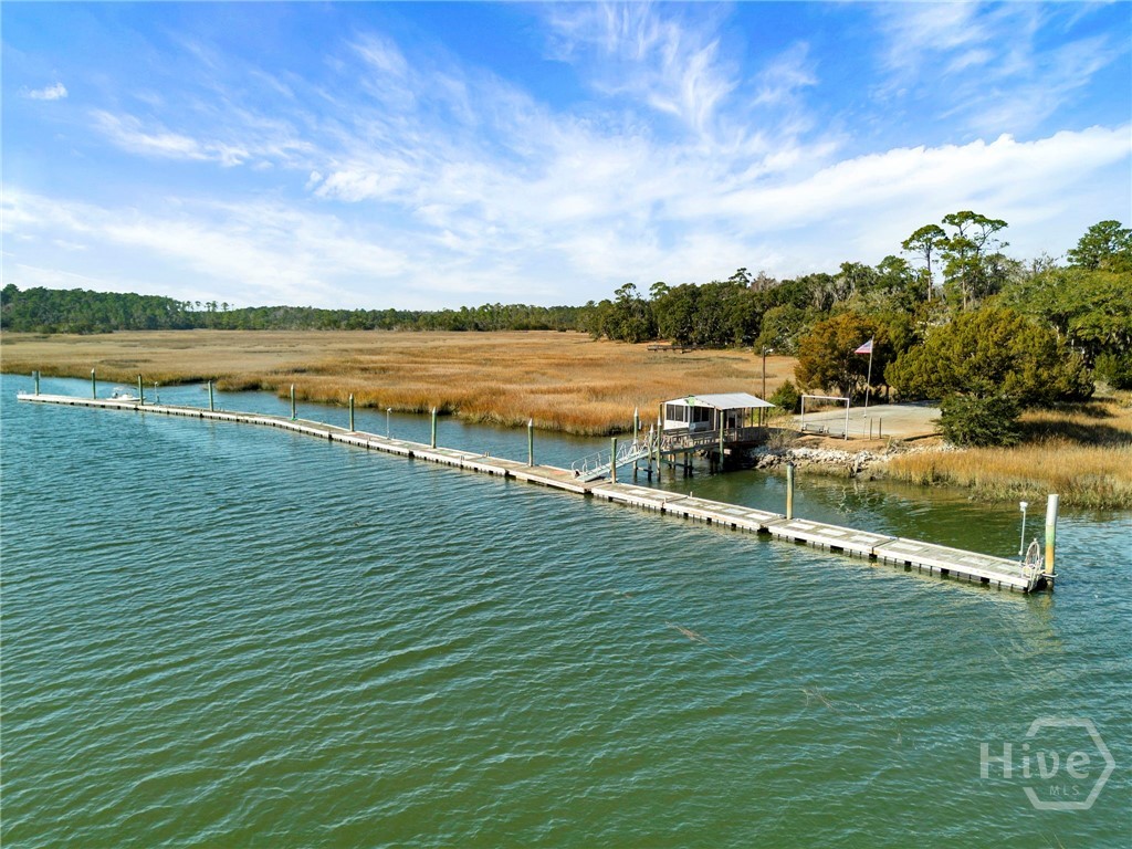 1214 Shell Point Road Townsend, GA 31331 - Photo 53 of 57 Community Dock