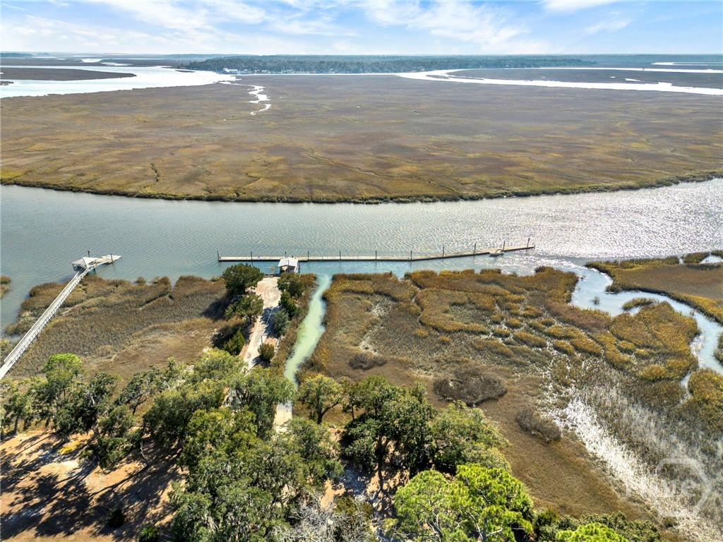 1214 Shell Point Road Townsend, GA 31331 - Photo 54 of 57 Community Dock