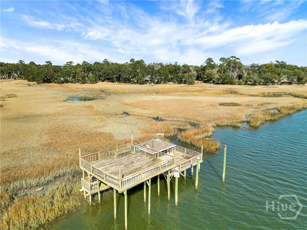 1214 Shell Point Road Townsend, GA 31331 - Photo 55 of 57 Dock house for the property
