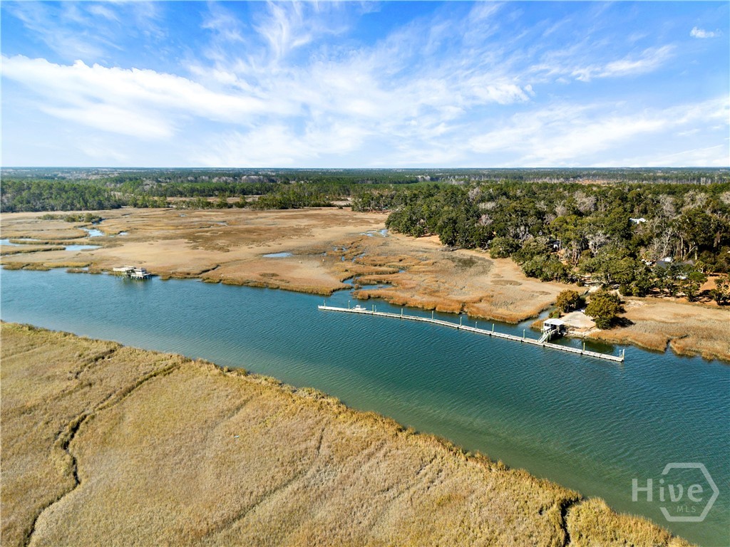 1214 Shell Point Road Townsend, GA 31331 - Photo 57 of 57 Community dock with Dock House for the property to the left.