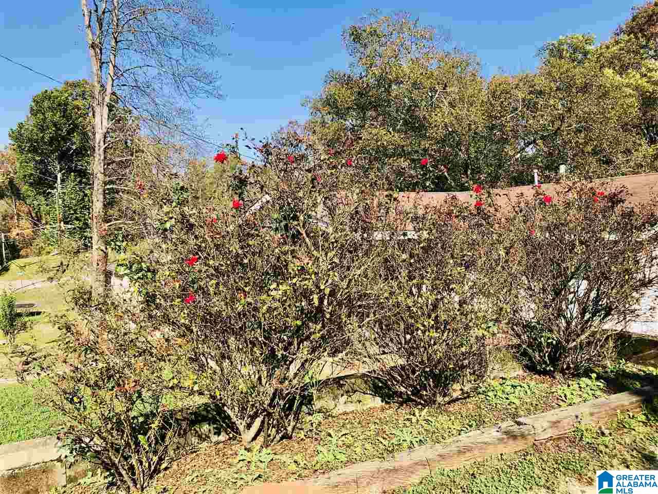 1029 Waverly Street Tarrant, AL 35217 - Photo 32 of 32
