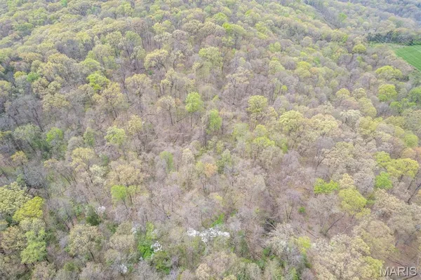 $595,000 | 0 New Highway, Barnhart, MO 63012