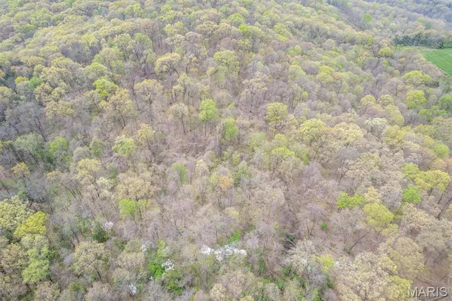 $450,000 | 0 New Highway, Barnhart, MO 63012