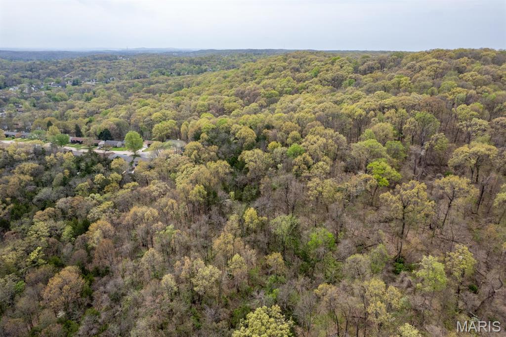 0 New Highway Barnhart, MO 63012 - Photo 8 of 38