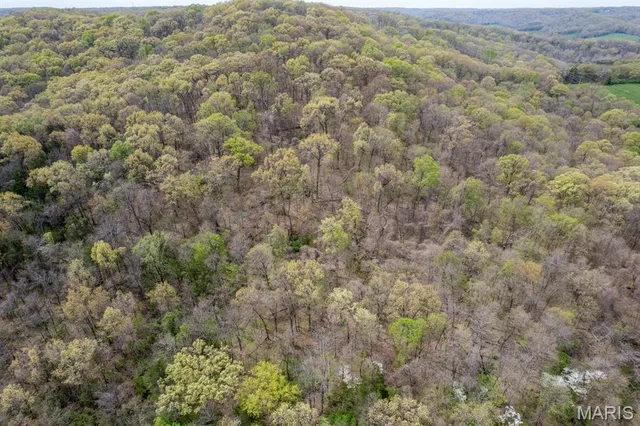 $450,000 | 0 New Highway, Barnhart, MO 63012