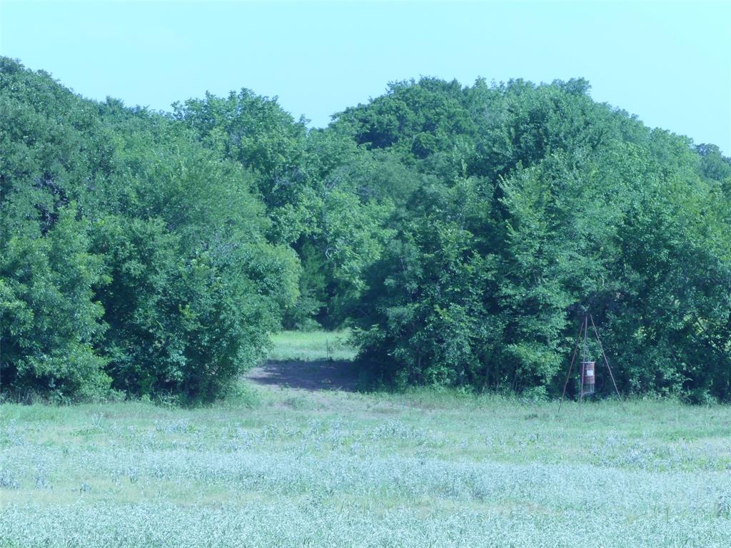 1691 West Alamo Road Bowie, TX 76230 - Photo 12 of 40 Gallery Image 12