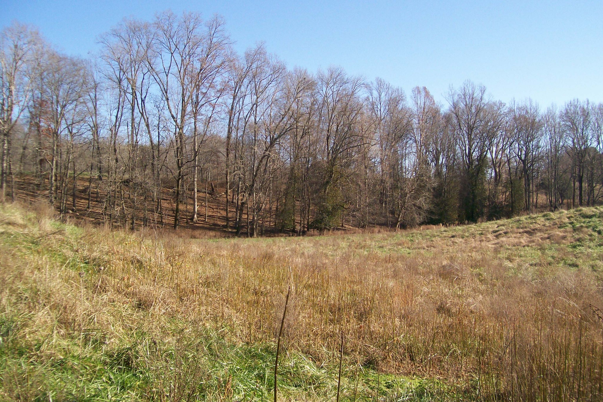 400 Dillon Road Walling, TN 38587 - Photo 14 of 21 Gallery Image 14