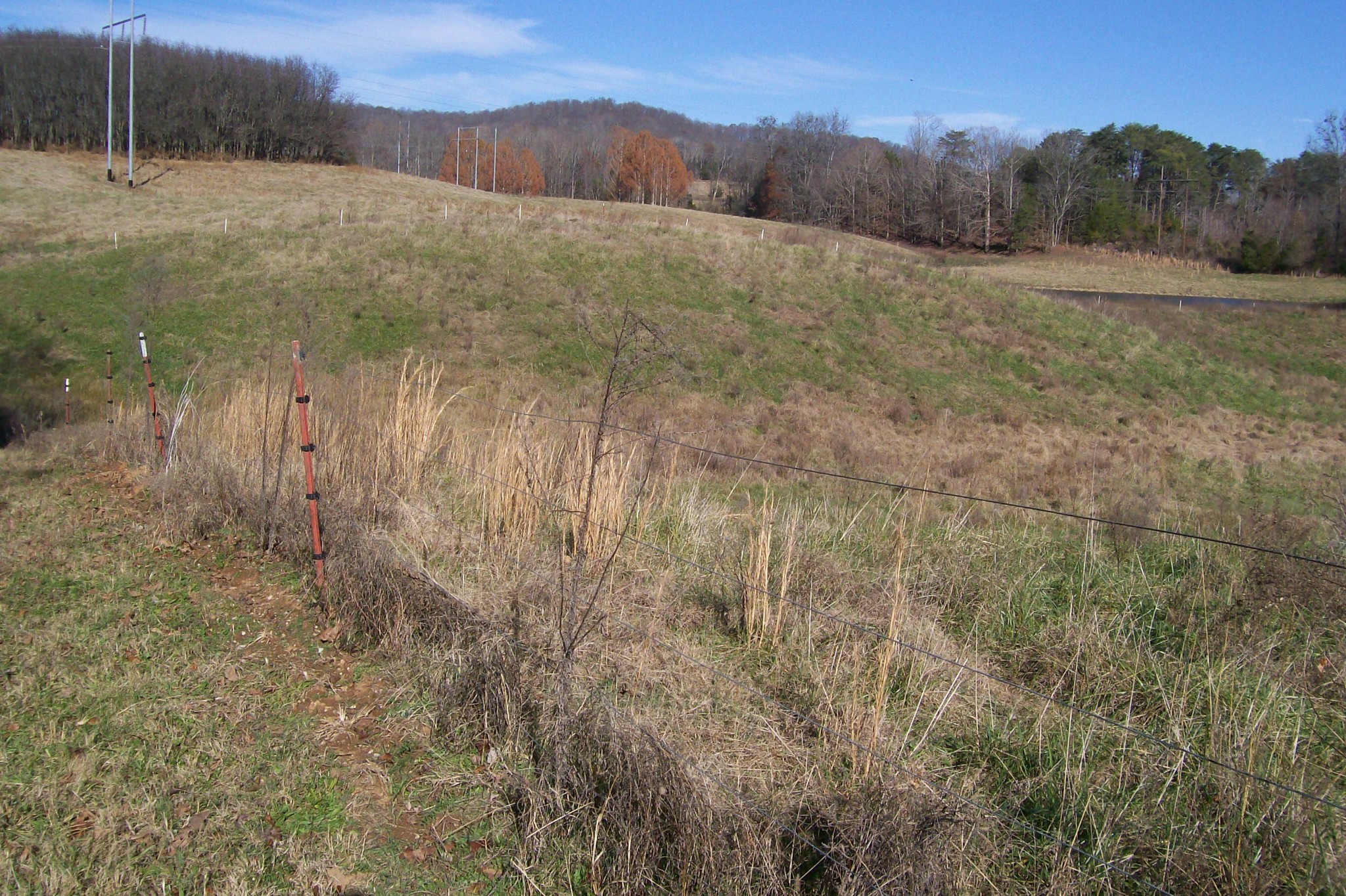 400 Dillon Road Walling, TN 38587 - Photo 4 of 21 Gallery Image 4