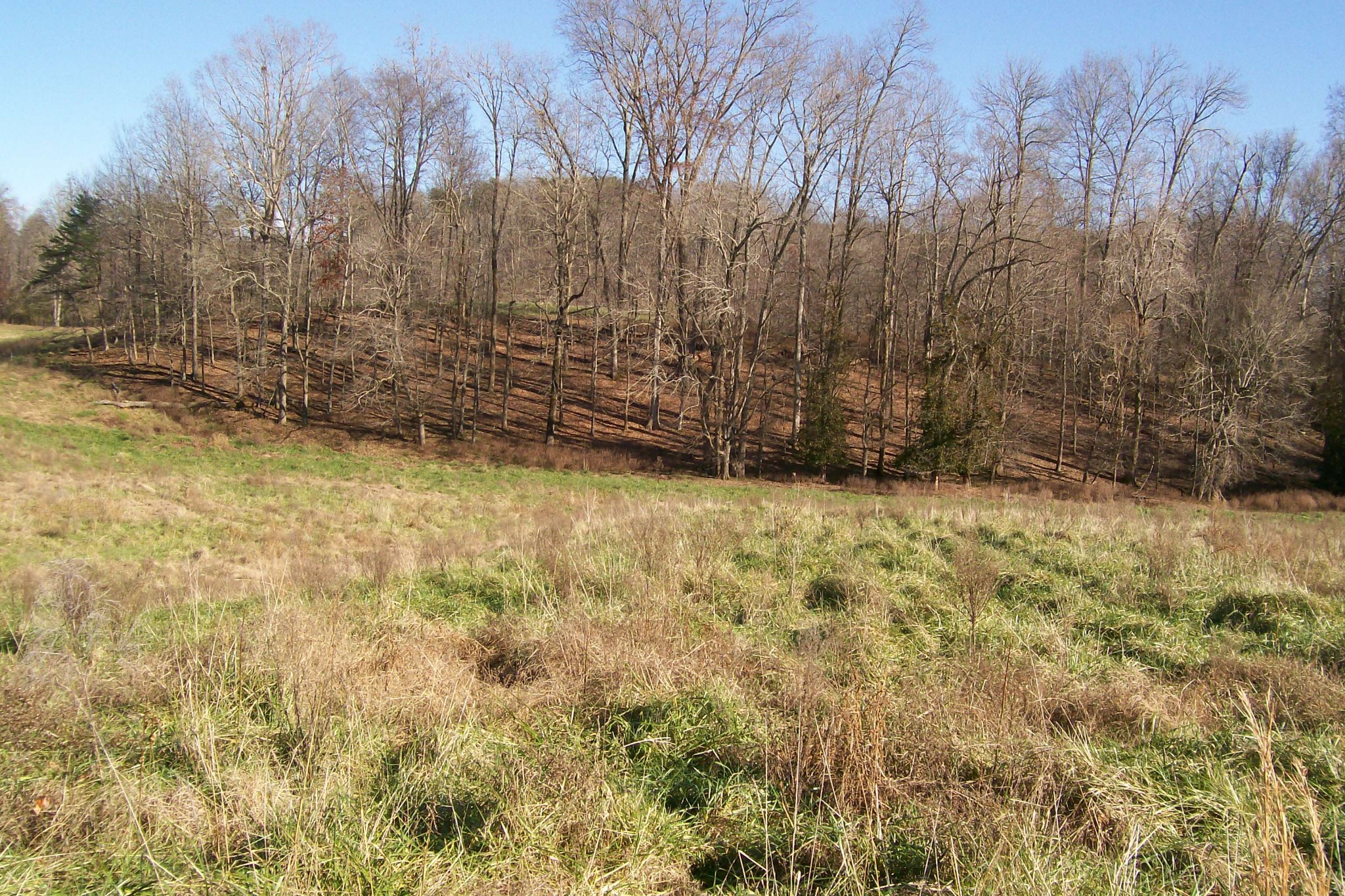 400 Dillon Road Walling, TN 38587 - Photo 5 of 21 Gallery Image 5