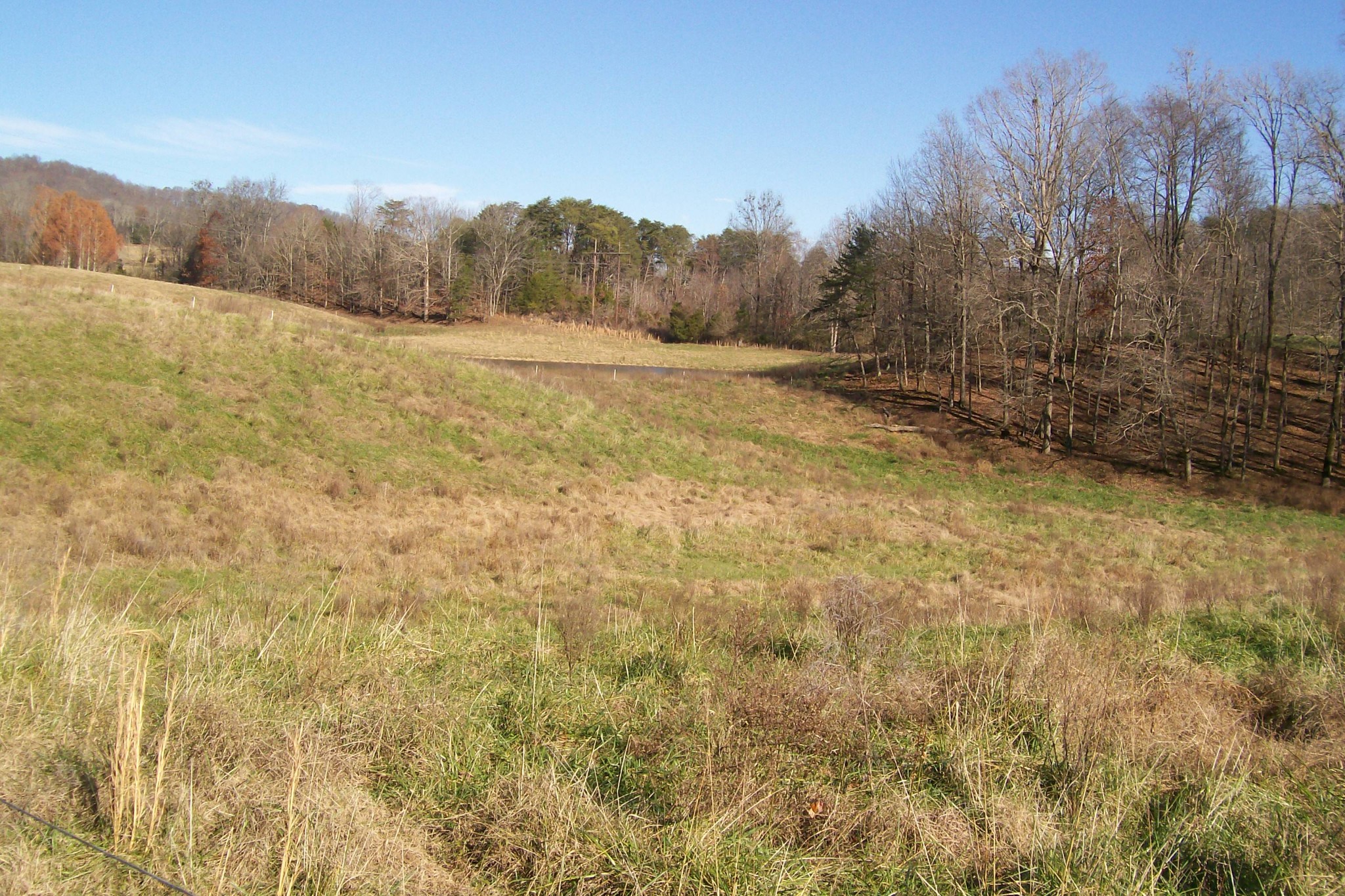 400 Dillon Road Walling, TN 38587 - Photo 6 of 21 Gallery Image 6