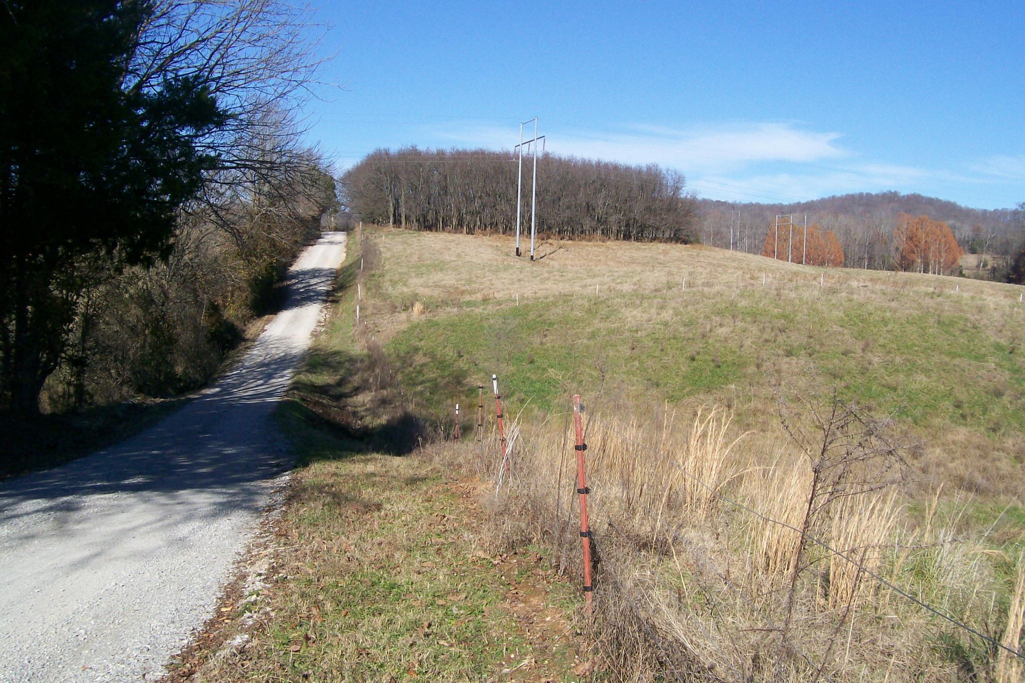400 Dillon Road Walling, TN 38587 - Photo 7 of 21 Gallery Image 7