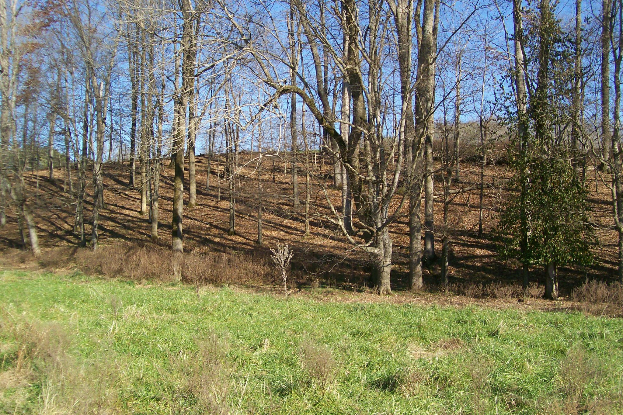 400 Dillon Road Walling, TN 38587 - Photo 8 of 21 Gallery Image 8