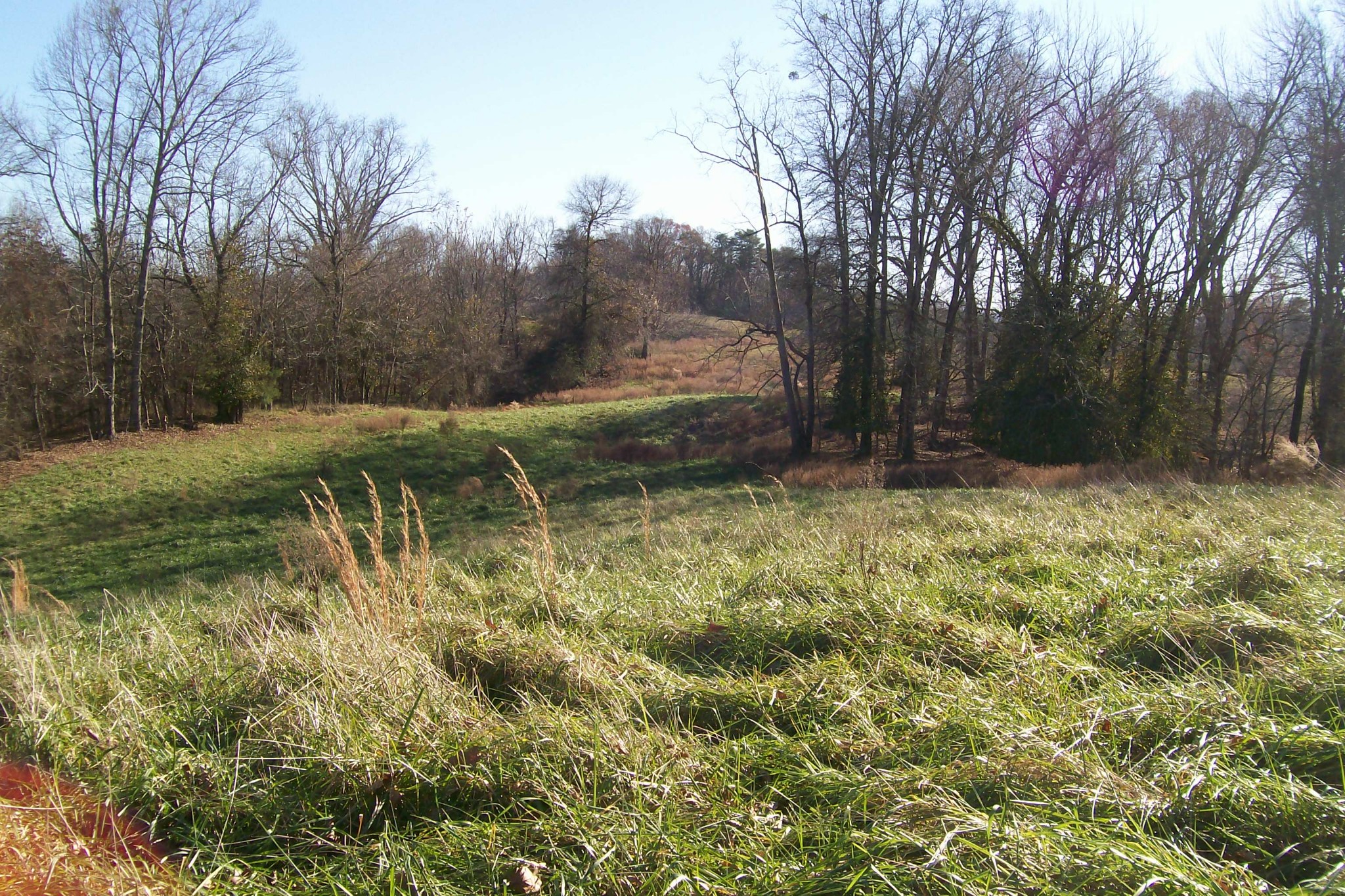 400 Dillon Road Walling, TN 38587 - Photo 9 of 21 Gallery Image 9