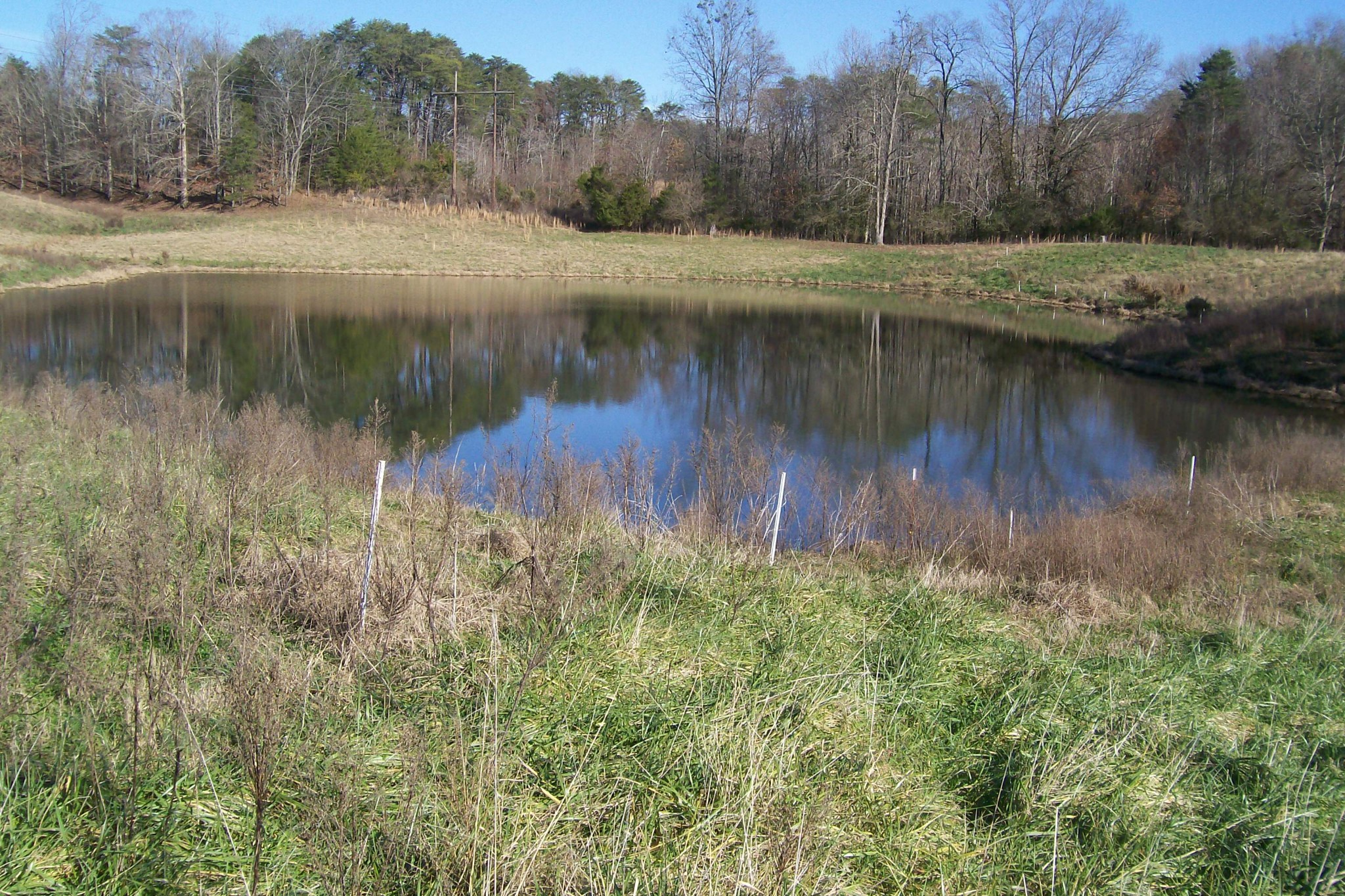 400 Dillon Road Walling, TN 38587 - Photo 10 of 21 Gallery Image 10