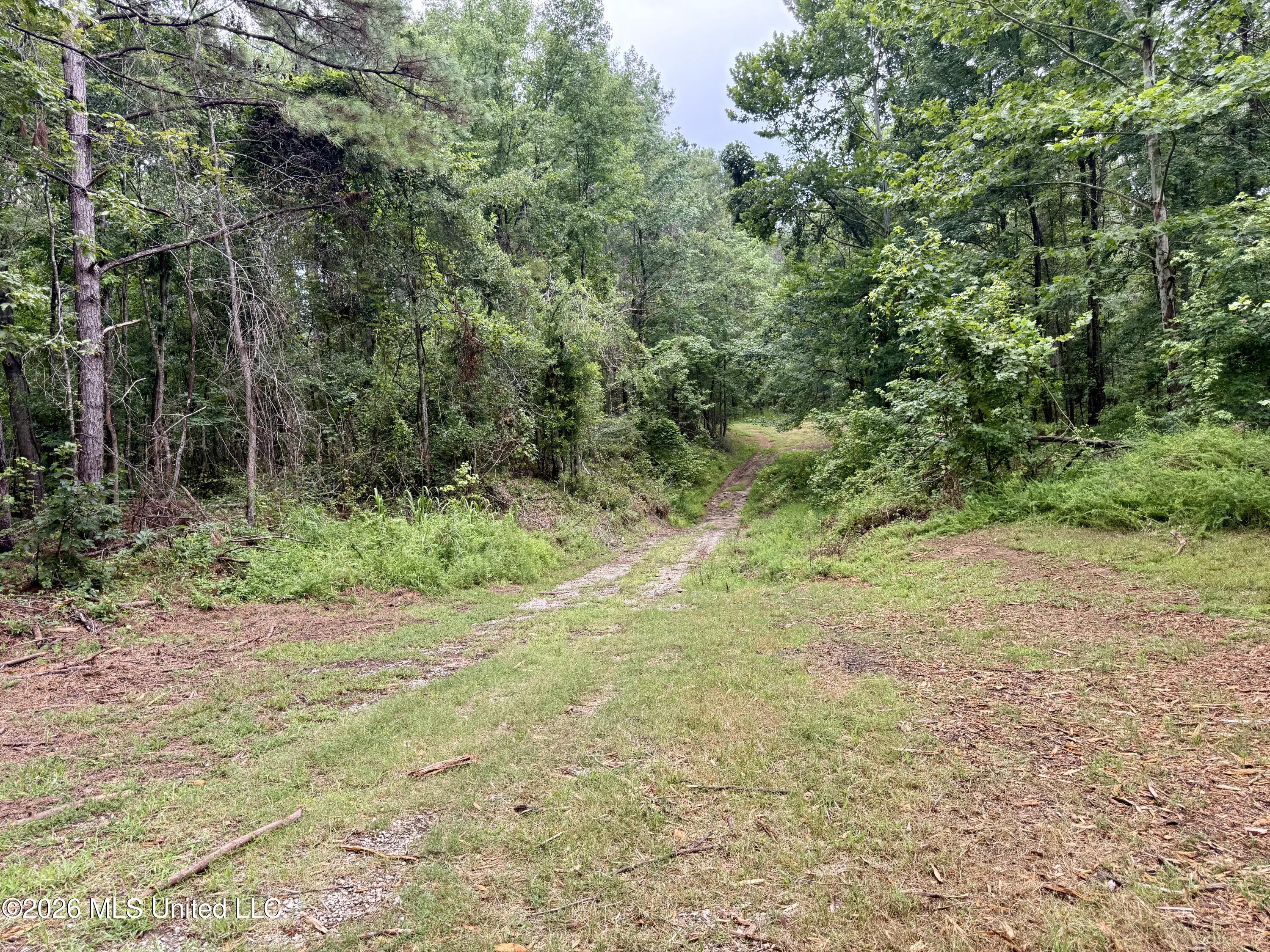 568 Smith-Bailey Road Durant, MS 39063 - Photo 64 of 81 Photo Jul 02 2026, 2 43 29 PM