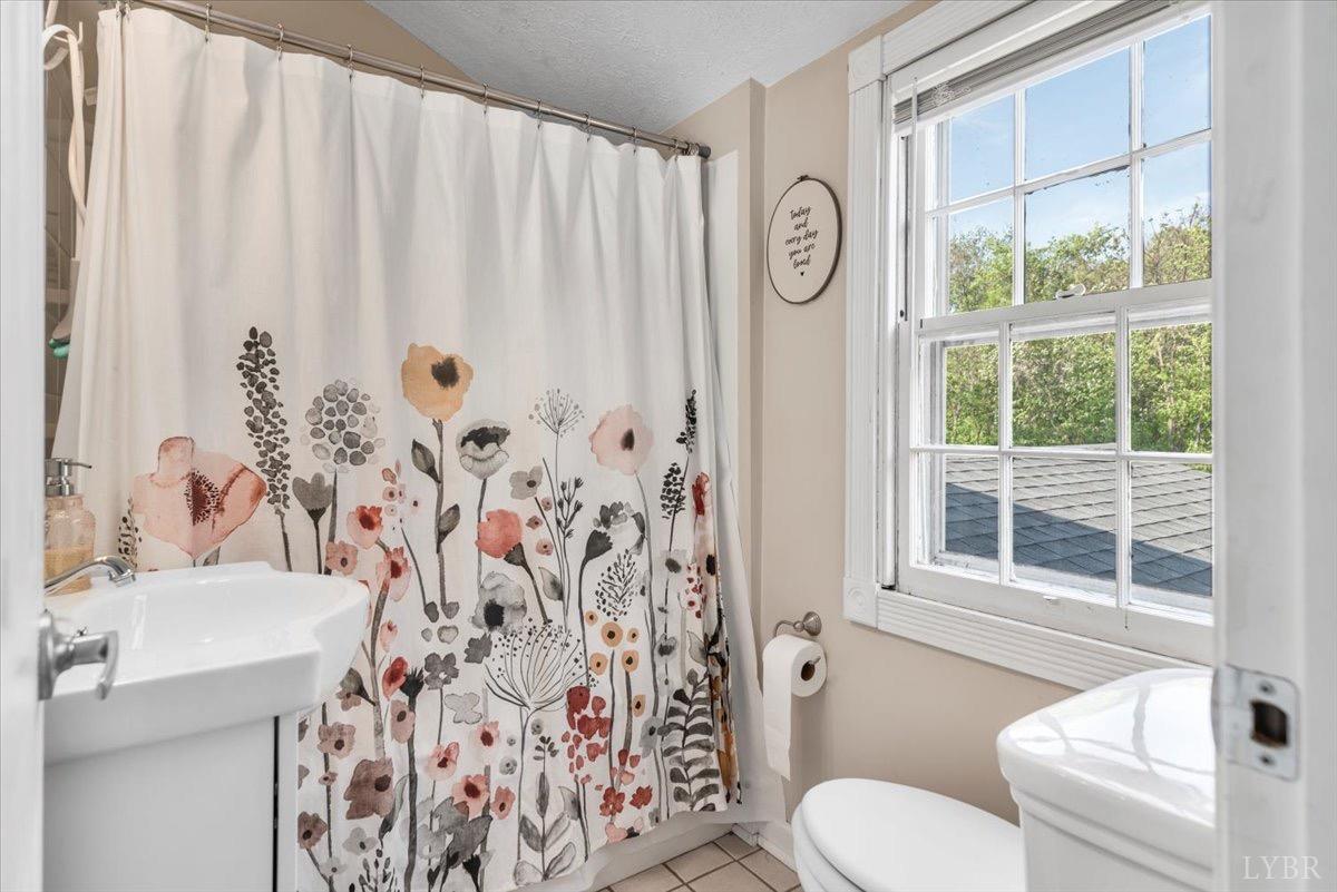 152 Pine Street Amherst, VA 24521 - Photo 30 of 53 a bathroom with a sink a toilet and a window