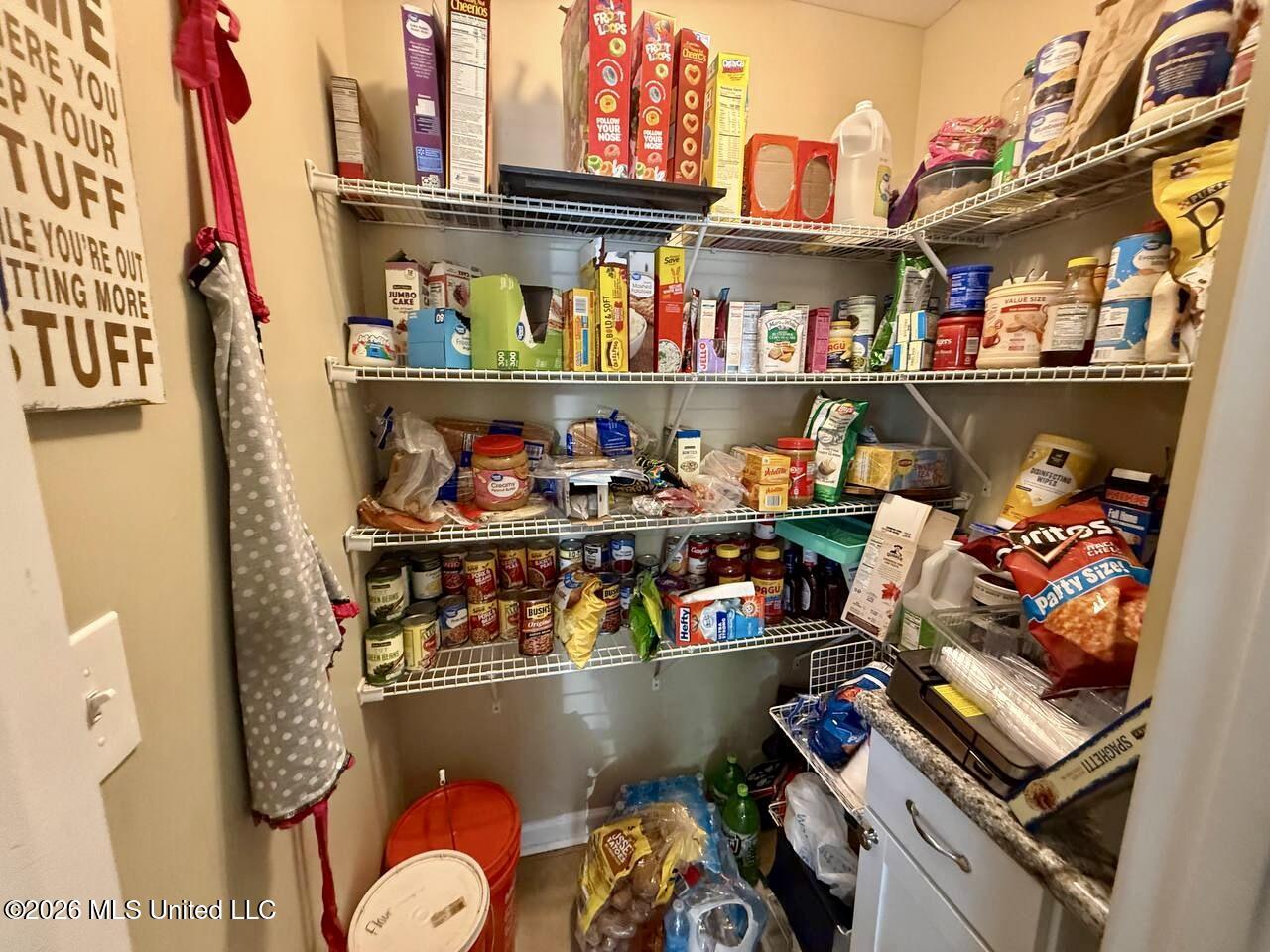 1748 Victoria Road Byhalia, MS 38611 - Photo 14 of 20 pantry w/cabinet storage